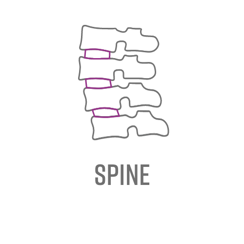 Spine